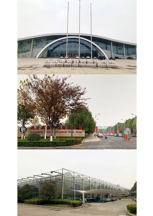 振兴国际花卉城.jpg